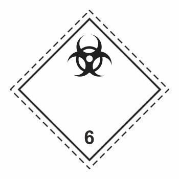 ���� ��������� ������� ������ ������ 6.2. ������������ �������� (��������������� ������, 250�250 ��)