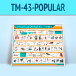 ����� ������� ��������� ���������� (TM-43-POPULAR)
